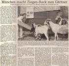 2. August 2003 - Dingolfinger Anzeiger