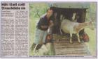 10. Juli 2003 - Abendzeitung